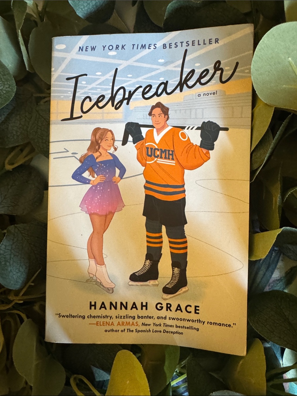 Icebreaker by Hannah Grace